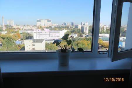 Smart-House Smart kvartira s kukhnei vozle metro. Kiev Buitenkant foto